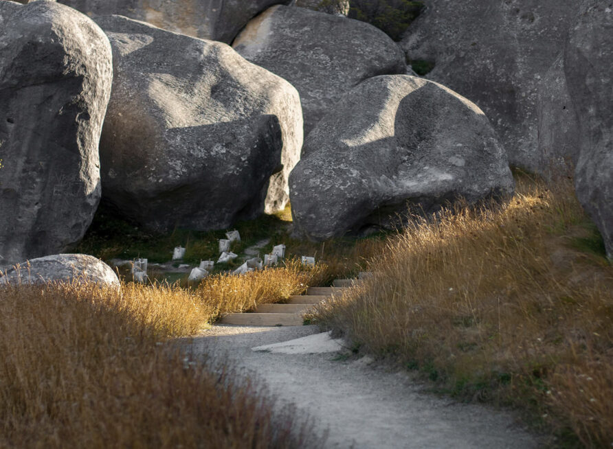 Compact Homes Offering Stunning Nature Views